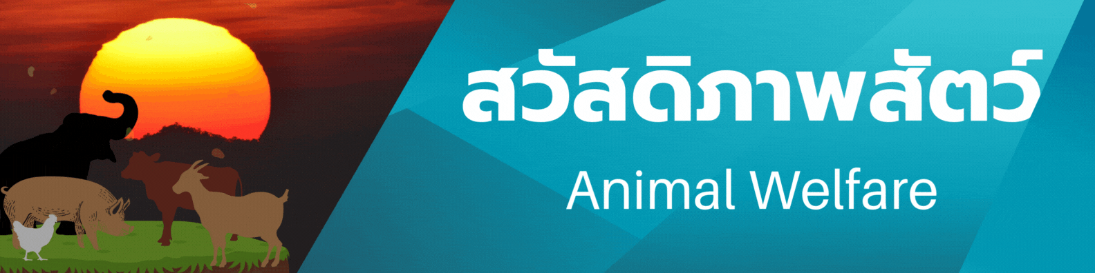 Animal Welfarebanner