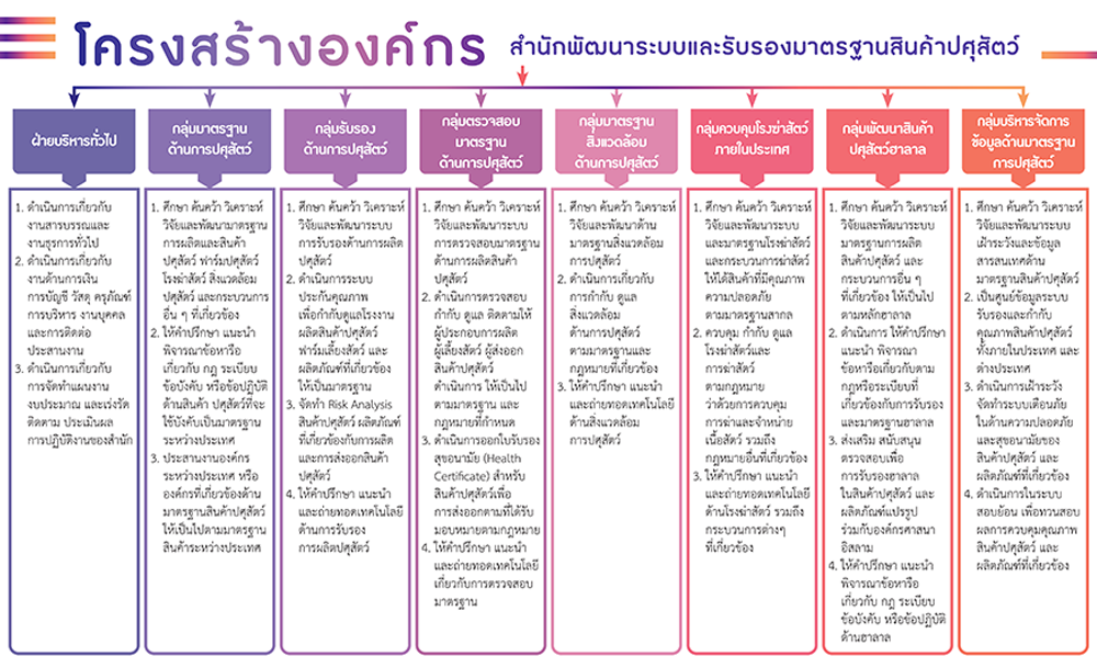 organizational structureV2