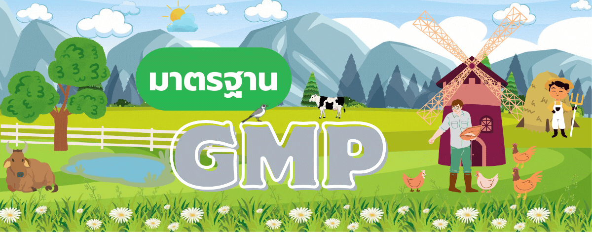 GMP Banner