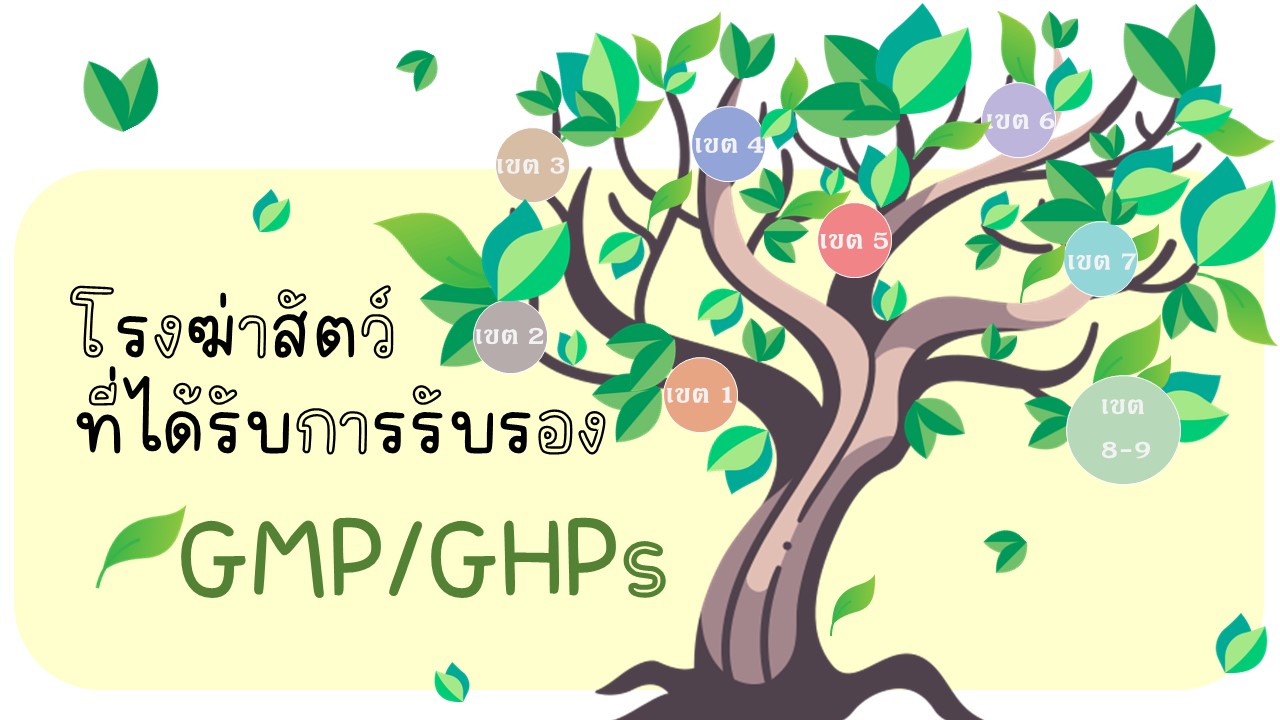 โรงฆ่าสัตว์ที่ได้รับรอง GMP/GHPs