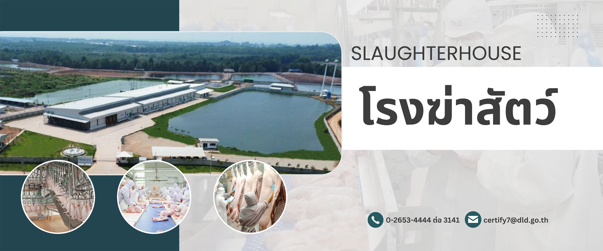 slaughterhouse bannerA1